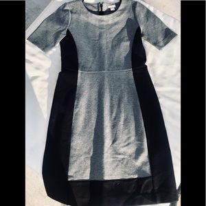 JCrew Color Block Dress